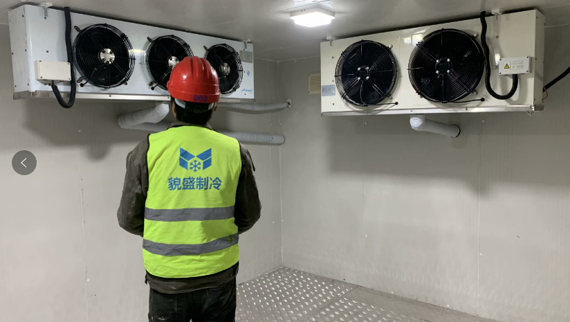 上海200㎡一備一用醫(yī)藥冷庫建造項目